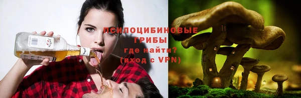 меф Белокуриха