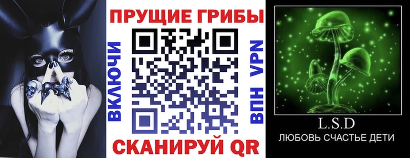 площадка клад Вязники Галлюциногенные грибы Psilocybe как найти закладки