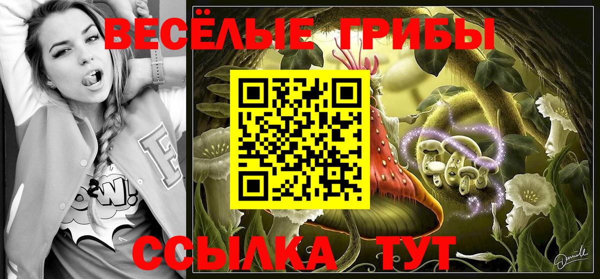 Псилоцибиновые грибы Psilocybine cubensis Вязники