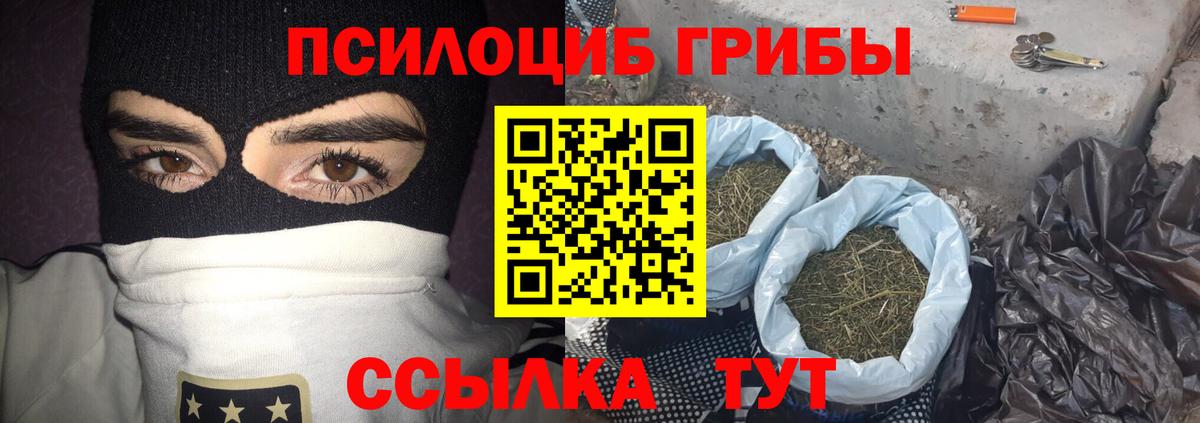 Вязники  Галлюциногенные грибы Magic Shrooms  Вход с VPN 