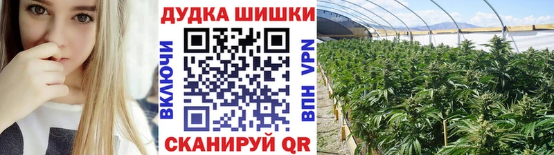 продажа наркотиков Вязники Каннабис White Widow